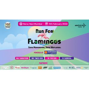 RUN FOR FLAMINGOS SEASON 3